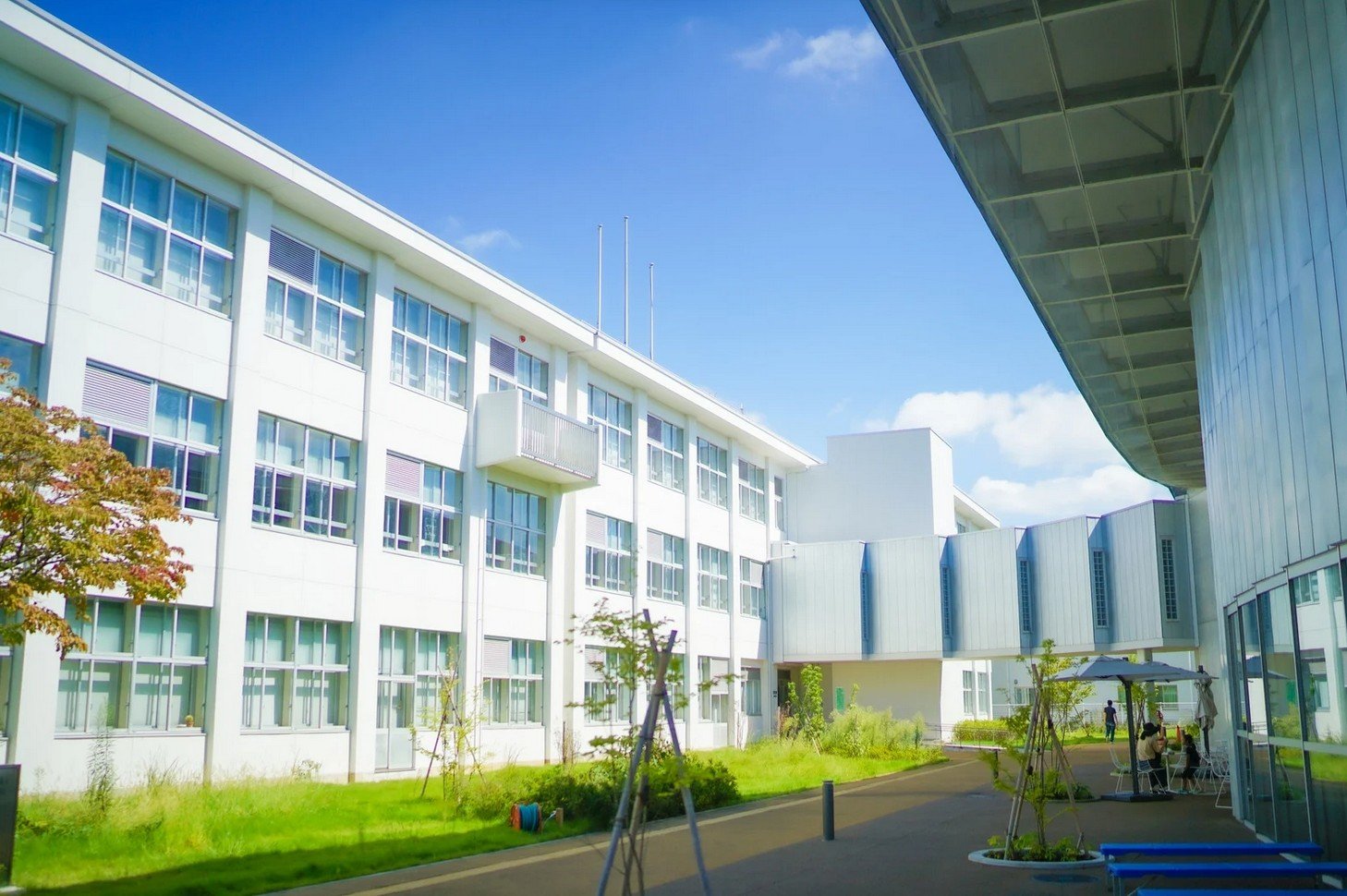 日本專門學校VS日本⼤學對比 | 高溥升學移民顧問